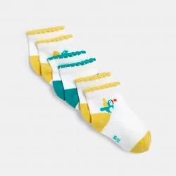 Scalloped edge socks (set of 3)