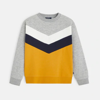 Tricolor sweatshirt